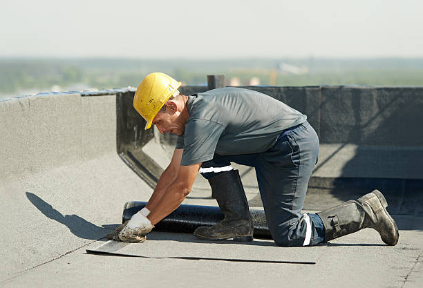 Weatherproofing Services in Mount Prospect, IL