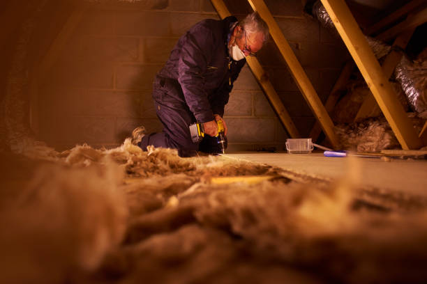 Best Attic Insulation Installation  in Mount Prospect, IL